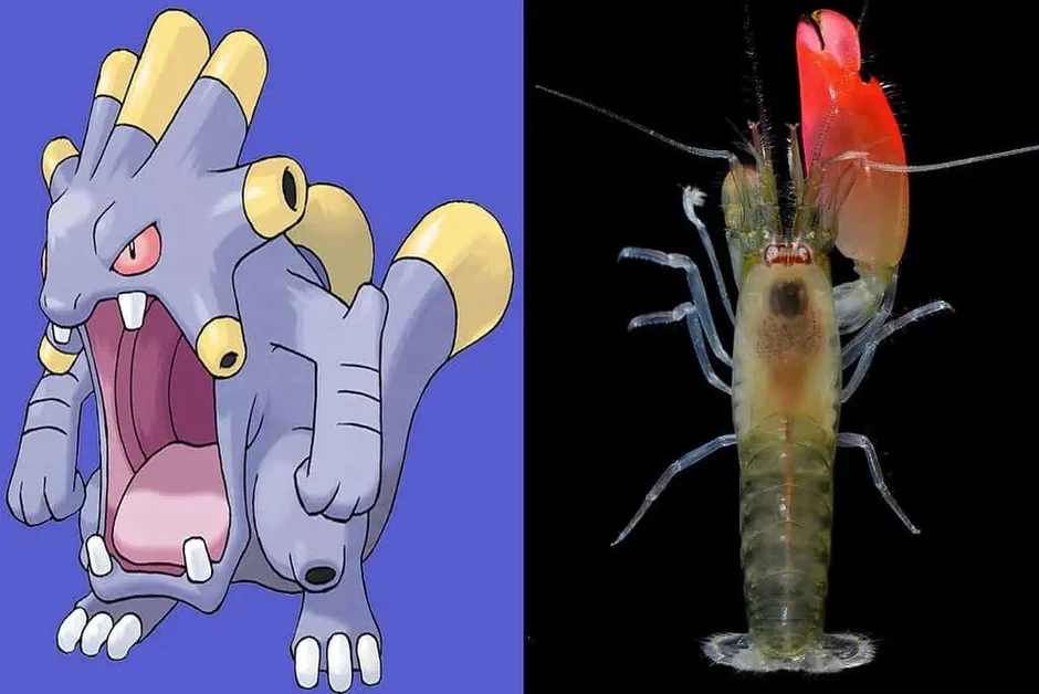 Bí ẩn về 7 loài động vật có sức mạnh tương đồng với Pokémon huyền thoại
