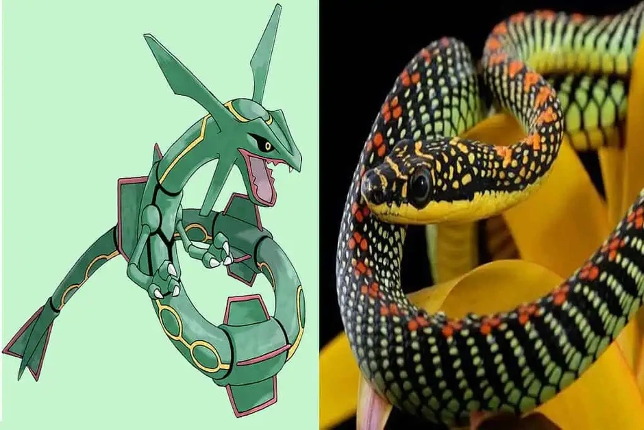 Bí ẩn về 7 loài động vật có sức mạnh tương đồng với Pokémon huyền thoại