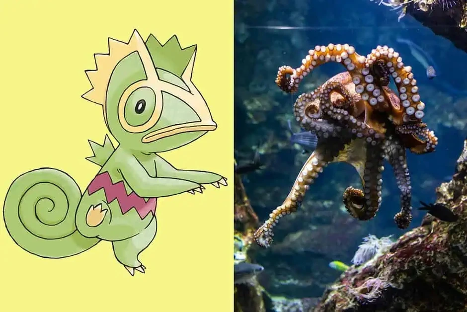 Bí ẩn về 7 loài động vật có sức mạnh tương đồng với Pokémon huyền thoại