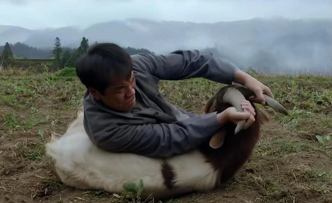 Đàm Tùng Vận ngã ngựa