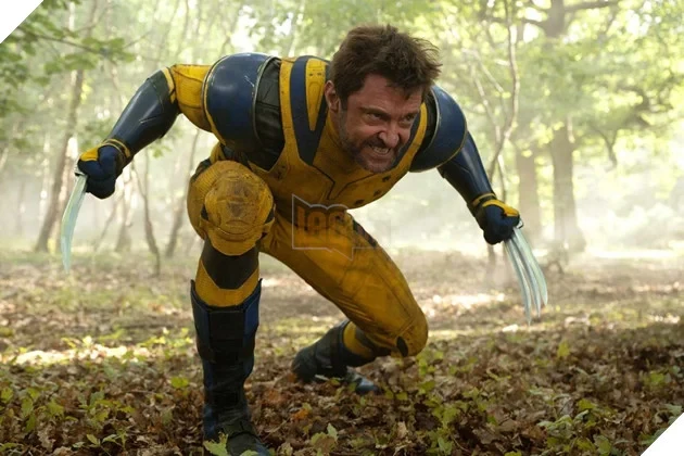 Diễn Viên Kỳ Cựu Hugh Jackman Tiết Lộ Thời Điểm Chia Tay Wolverine