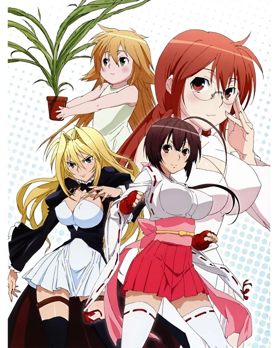 Không chỉ có fanservice, đây là những bộ anime hành động Harem nhất định phải xem