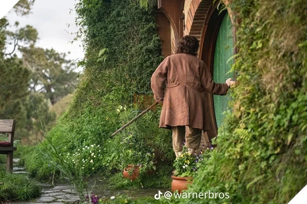 Loạt Ảnh Hậu Trường The Hunt for Gollum Hé Lộ Tạo Sự Tái Xuất Của Frodo