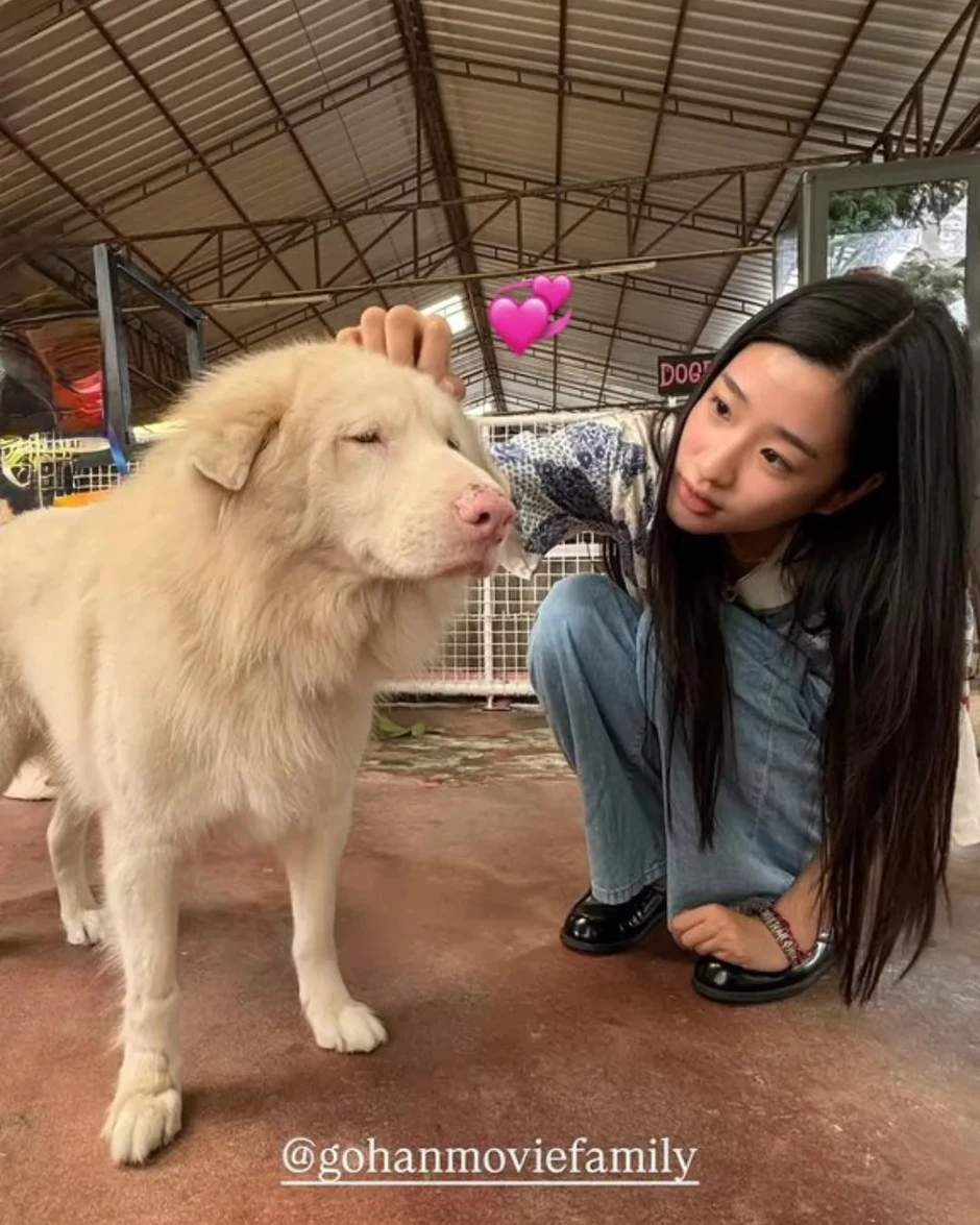 Mỹ nhân làm đứt chuỗi phim Việt top 1 phòng vé suốt 87 ngày