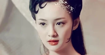 Người đẹp nổi tiếng vì giống Trịnh Sảng