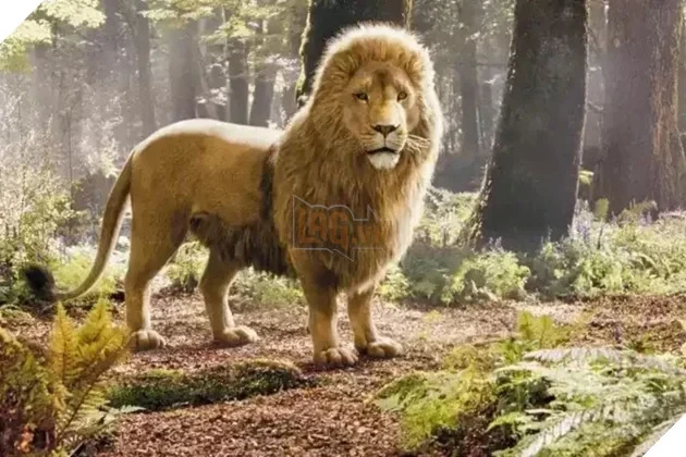 Nhà Làm Phim Greta Gerwig Tiết Lộ Lý Do Chọn Meryl Streep Lồng Tiếng Aslan Trong Narnia
