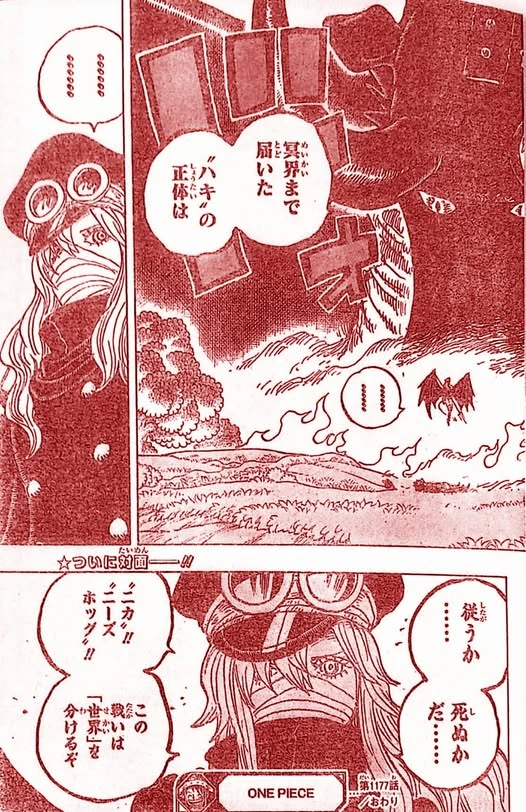 One Piece 1177: Luffy và Loki liên minh đại chiến Imu, Usopp gục ngã tại Elbaph