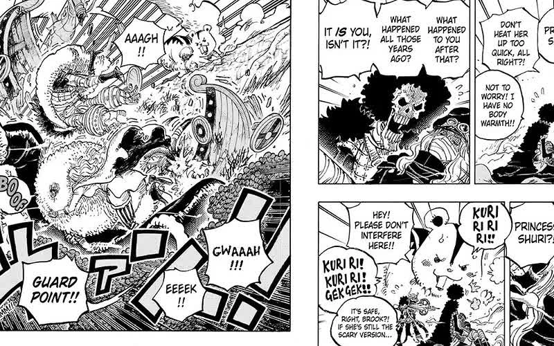 One Piece: Băng Mũ Rơm chuẩn bị kết nạp thành viên mang trái ác quỷ cực mạnh?
