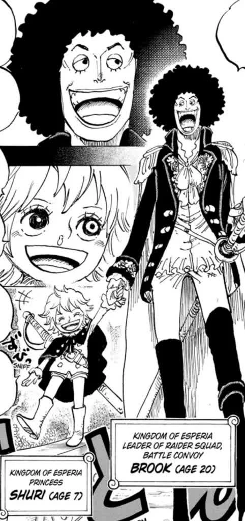 One Piece chương 1183 tiết lộ chấn động về quá khứ của Brook sau 19 năm giấu kín