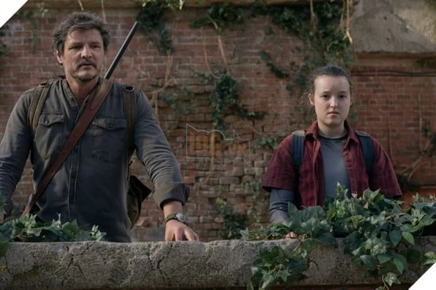 Peter Sarsgaard Gia Nhập The Last of Us Mùa 3, HBO Tạm Dừng Quay Phim Vì World Cup