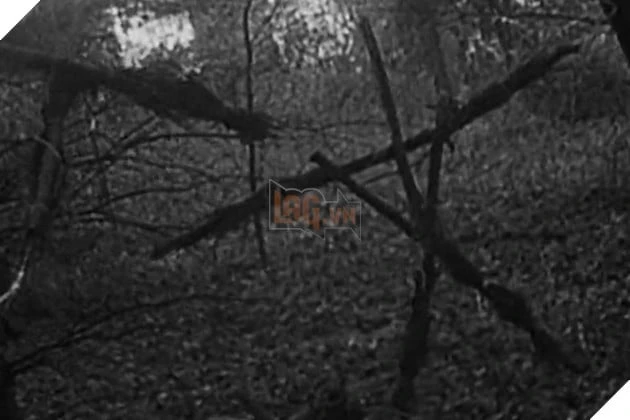 The Blair Witch Project Trở Lại: Bản Remake Dự Kiến Ra Mắt Năm 2027 The Blair Witch Project Trở Lại: Bản Remake Dự Kiến Ra Mắt Năm 2027