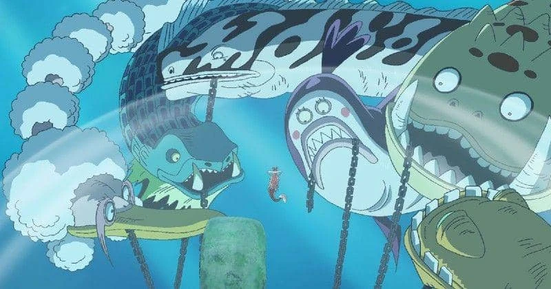 Top 8 điều kỳ lạ và độc đáo nhất về đại dương trong One Piece Top 8 điều kỳ lạ và độc đáo nhất về đại dương trong One Piece