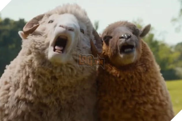 Vì Sao The Sheep Detectives Trở Thành Hiện Tượng Phòng Vé Và Được Giới Phê Bình Ca Ngợi? Vì Sao The Sheep Detectives Trở Thành Hiện Tượng Phòng Vé Và Được Giới Phê Bình Ca Ngợi?