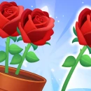Bloom Match Story game giải đố cho bạn sắp xếp những chậu hoa Bloom Match Story game giải đố cho bạn sắp xếp những chậu hoa