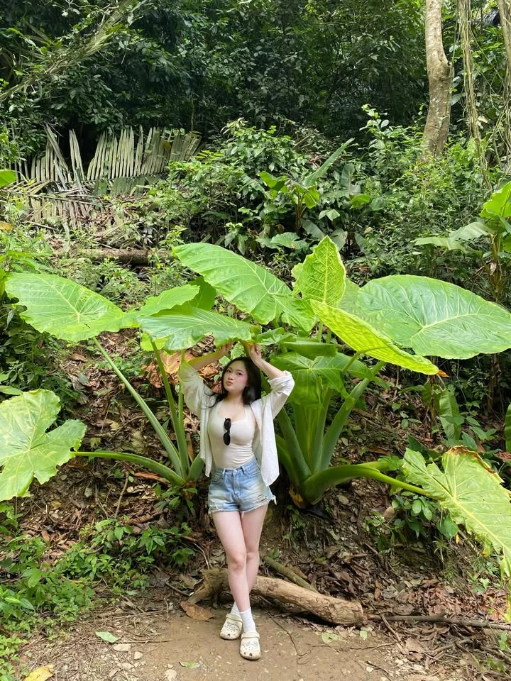 Bộ ảnh "núi rừng" không góc chết của hot girl xinh đẹp, hot rần rần MXH những ngày vừa qua Bộ ảnh "núi rừng" không góc chết của hot girl xinh đẹp, hot rần rần MXH những ngày vừa qua