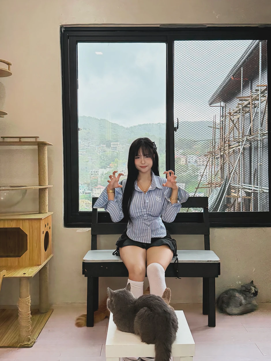 Cafe mèo dễ thương như thế này, bảo sao hội chị em không "rẩn rần" đổ xô đi check-in?