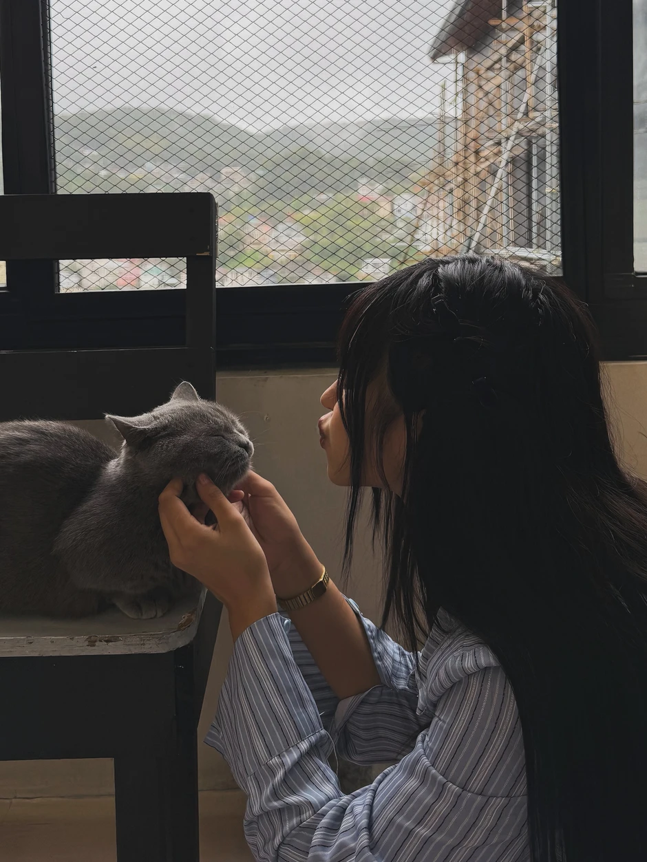 Cafe mèo dễ thương như thế này, bảo sao hội chị em không "rẩn rần" đổ xô đi check-in?