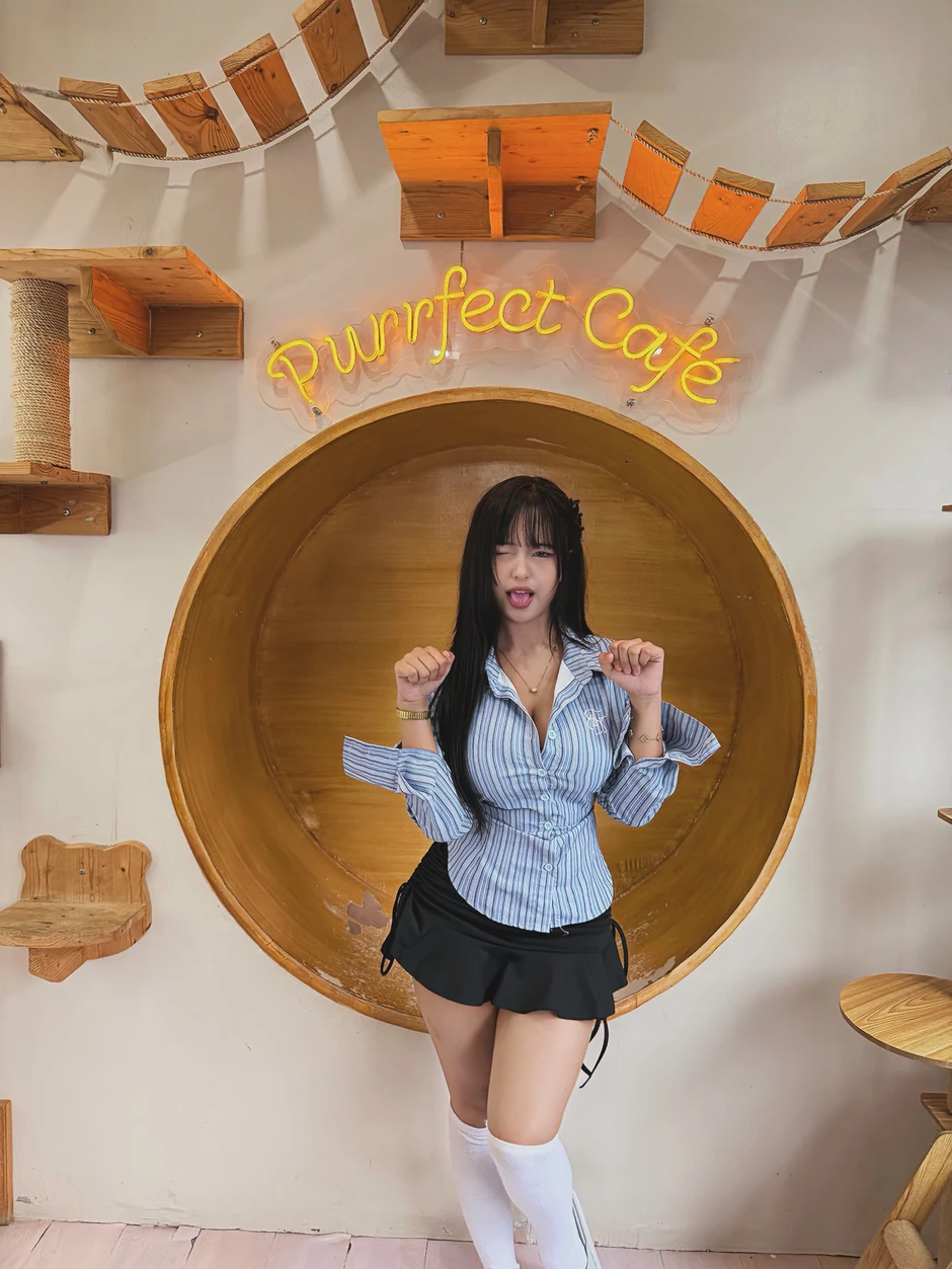 Cafe mèo dễ thương như thế này, bảo sao hội chị em không "rẩn rần" đổ xô đi check-in?