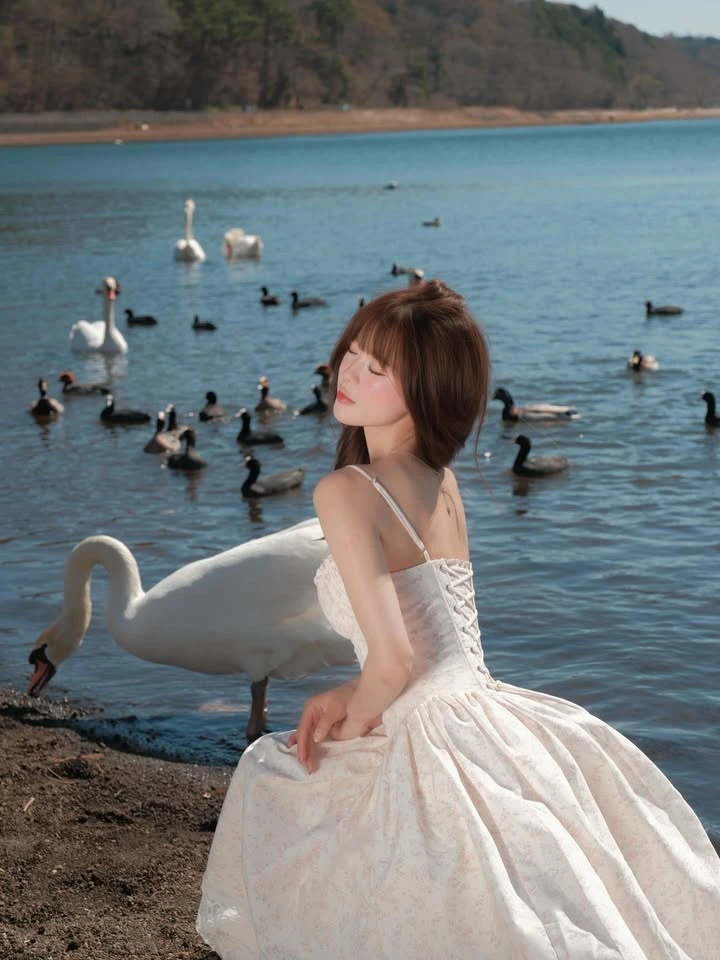 Chụp ảnh với thiên nga, hot girl như bước ra từ chuyện cổ tích Chụp ảnh với thiên nga, hot girl như bước ra từ chuyện cổ tích
