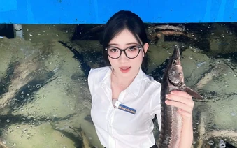 Giải mã "Cô Giáo Đầm": Công thức viral tạo nên sức hút khó cưỡng