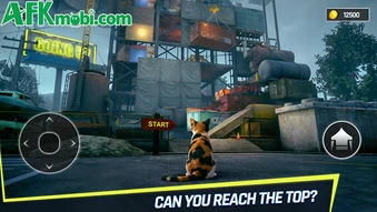 Going Up Cat Runner 3D với chủ đề kết hợp Only Up! và Stray