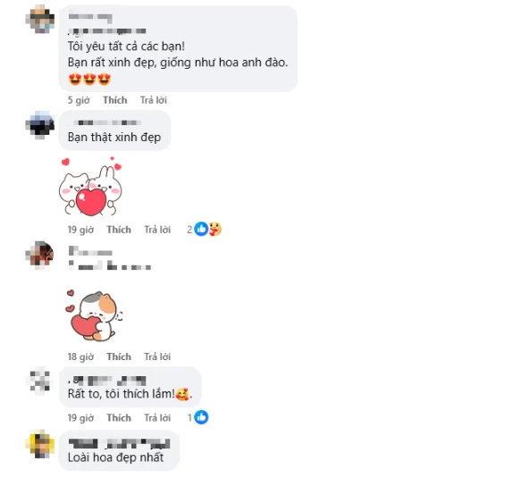 Ngây ngất với bộ ảnh hoa đào của nữ coser nổi tiếng, cảnh đẹp mê ly khiến người xem hết lời khen ngợi