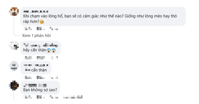 Quay video ngay bên cạnh thú dữ, hot girl khiến người xem "nhăn mặt" vì quá liều lĩnh