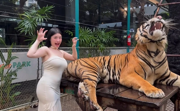 Quay video ngay bên cạnh thú dữ, hot girl khiến người xem "nhăn mặt" vì quá liều lĩnh