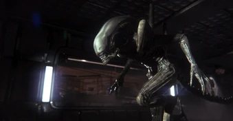 Alien Isolation 2 lộ teaser bất ngờ dịp Alien Day 2026