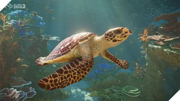 Planet Zoo 2 Chính Thức Công Bố, Lần Đầu Tiên Có Động Vật Bay Và Sinh Vật Biển Planet Zoo 2 Chính Thức Công Bố, Lần Đầu Tiên Có Động Vật Bay Và Sinh Vật Biển