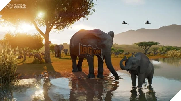 Planet Zoo 2 Chính Thức Công Bố, Lần Đầu Tiên Có Động Vật Bay Và Sinh Vật Biển Planet Zoo 2 Chính Thức Công Bố, Lần Đầu Tiên Có Động Vật Bay Và Sinh Vật Biển
