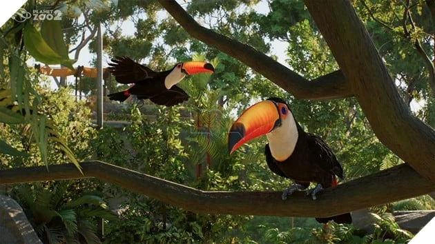 Planet Zoo 2 Chính Thức Công Bố, Lần Đầu Tiên Có Động Vật Bay Và Sinh Vật Biển Planet Zoo 2 Chính Thức Công Bố, Lần Đầu Tiên Có Động Vật Bay Và Sinh Vật Biển
