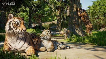 Planet Zoo 2 Chính Thức Công Bố, Lần Đầu Tiên Có Động Vật Bay Và Sinh Vật Biển