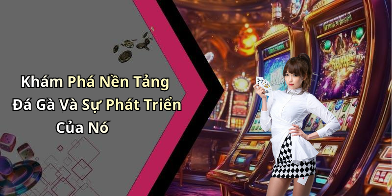 Đá Gà: Khám Phá Thế Giới Giải Trí Đỉnh Cao Trong Giải Đấu Nóng Bỏng